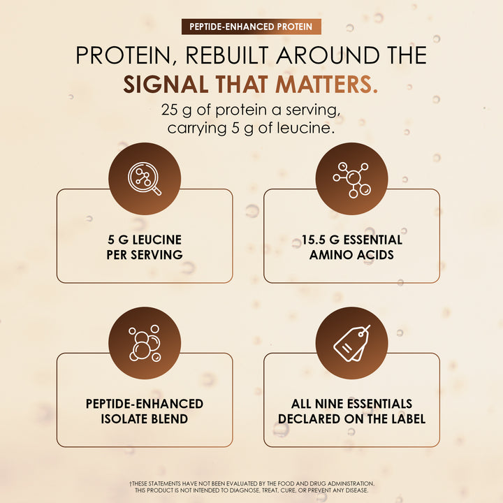 Protein Peptide L5